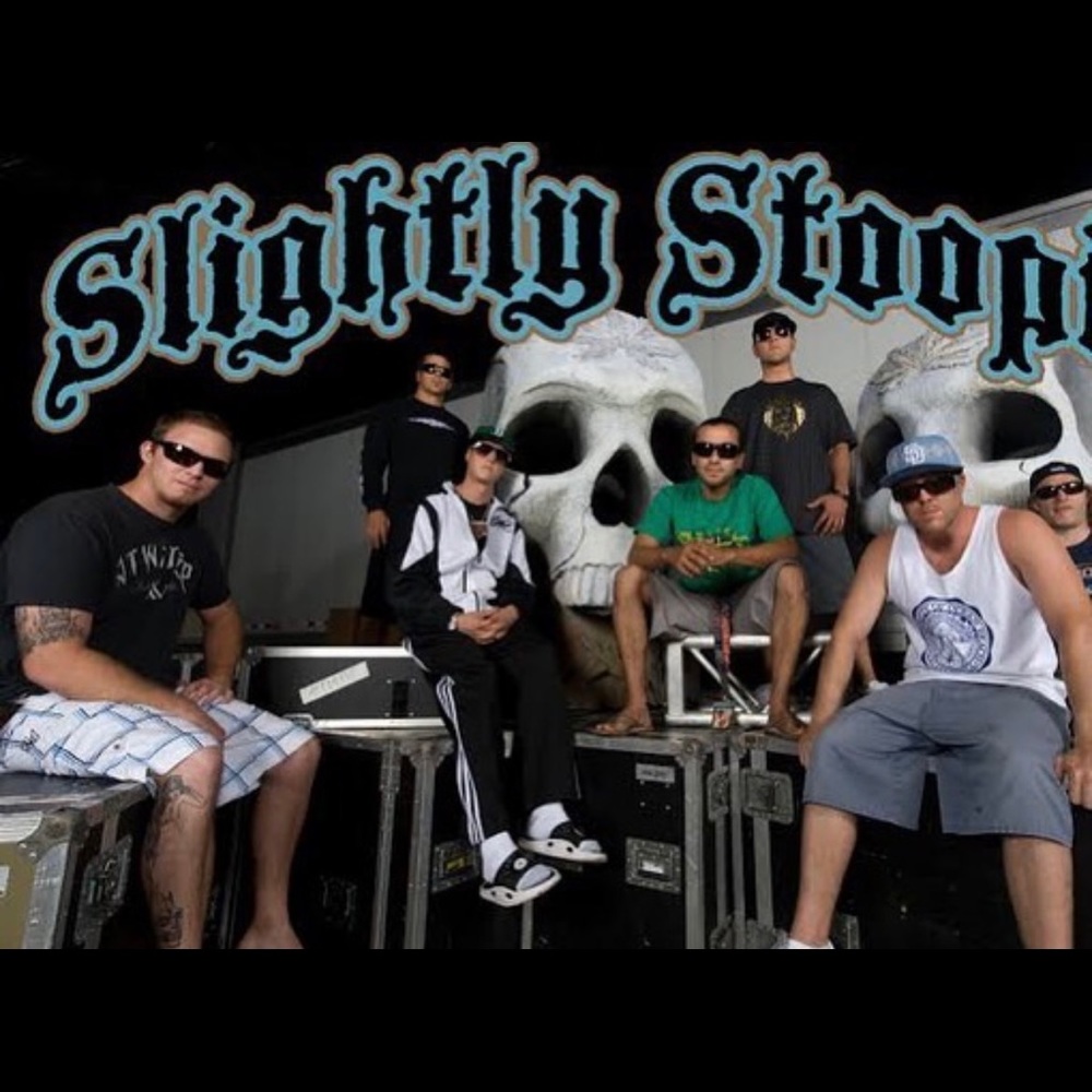 SLIGHTLY STOOPID FLY ALBUM ART SUNGLASSES 😎